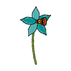 colorful flower doodle over white background vector illustration