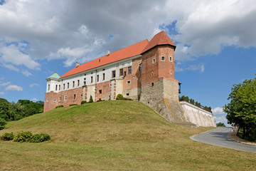Fototapeta na wymiar Zamek w Sandomierzu.