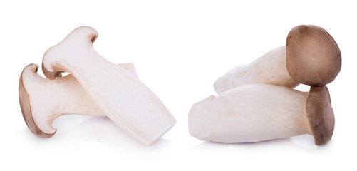 King oyster mushroom Pleurotus eryngii on white background
