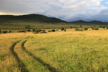 Fototapeta na wymiar The Great Rift Valley - Maasai Mara - Kenya