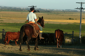 Fazenda de gado