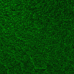 3D illustration of green grass