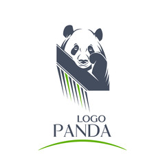 Vector logo of a panda over white background 