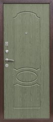 Fototapeta premium Entrance door (Layout of a colored metal door)