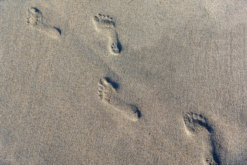 Fototapeta na wymiar Foot Prints On Beach Sand