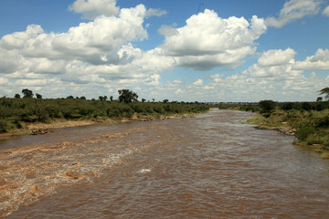 Fototapeta na wymiar Mara River - Kenya