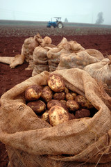  Agriculture