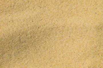 Sand texture. Sandy beach for background