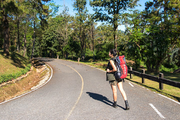 Fototapeta premium Beautiful woman hiker standing on forest trail and looking away. Female with backpack on hike in nature. Travel Concept
