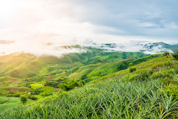 beautiful green mountain and clouds in northern of thailand.