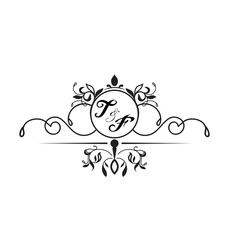 initial design t simple 