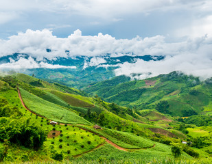beautiful green mountain and clouds in northern of thailand.
