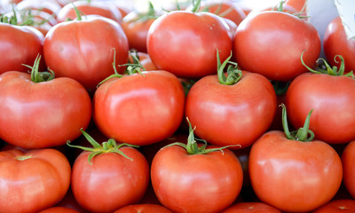 Fresh tomatoes for sale on a farmer market