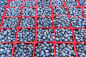Many blueberries on display in market in red baskets