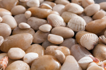 Sea pebbles background, natural seashore stones