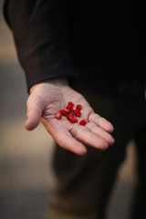 ягоды земляники в руке у человека
