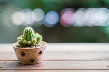 baby cactus in Lovely potted on wooden table with bokeh light background and copy text.
(Soft focus on a prickle)