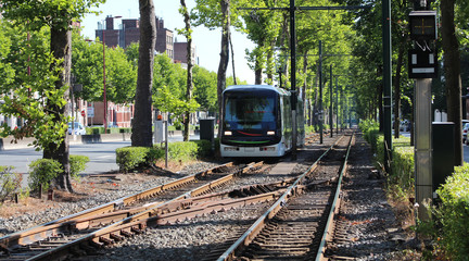 Lille Roubaix Tourcoing / Tramway (Mongy) sur le Grand boulevard