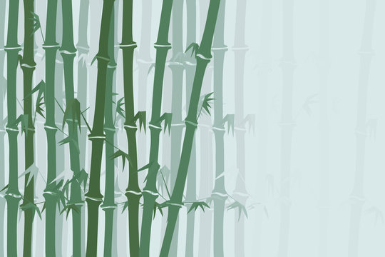 bamboo forest background © dzm1try