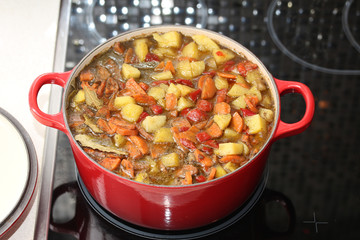Cooking. Beef stew with potatoes, pepper and carrots in big red round casserole.
