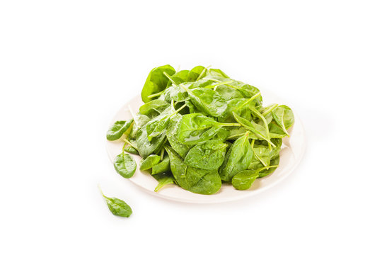 A fresh green spinach leaf isolated against a white background