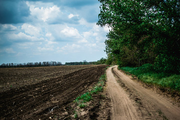 Fototapeta na wymiar Old village road with field on side and forest. Trees, ground road and field
