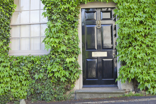 Shiny black wooden doors in an old traditional English stone cottage surrounded by climbing ivy and vine plant .