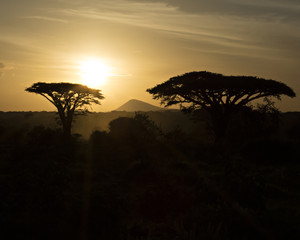 Tanzania Sunset 12