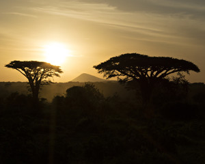 Tanzania Sunset 11