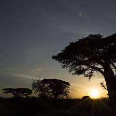 Tanzania Sunset 8