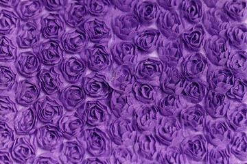 Purple rose background