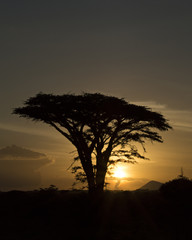 Tanzania Sunset 6
