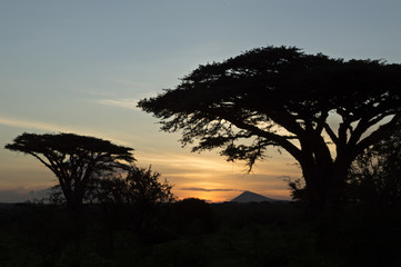 Fototapeta na wymiar Massai Steppe Sunset