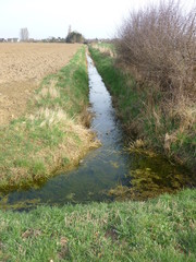 Entwässerungsgraben am Niederrhein