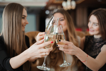 Portrait of happy young friends touching the glasses with each other