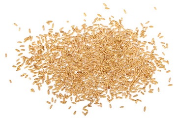 Oat grains isolated on white background
