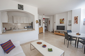 Interior design of luxury apartment kitchen and living room