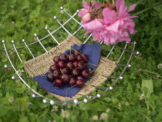 Cherry In Vase
