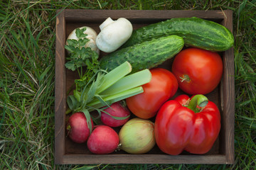 Vegetables in a box for salad on the grass in a summer garden