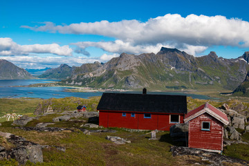 Beautiful nature and landscape in the Lofoten Islands during summer in Norway