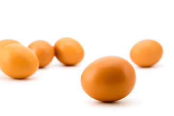 Chicken eggs scattered on white