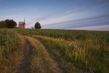 Fototapeta premium Beautiful landscape with old wooden windmill in morning light