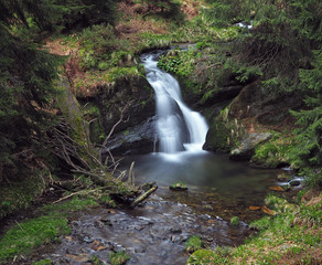 forest waterfall in jeseniky mountain on bila opava river