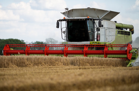 Moissonneuse-batteuse au travail
