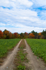 Fototapeta na wymiar Fall in New Hampshire on the Farm