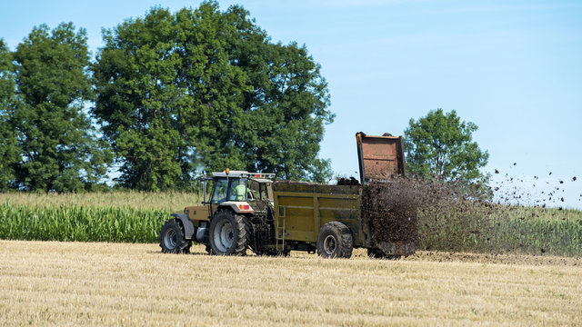 tracteur agricole qui &eacute;pand le fumier sur le champ