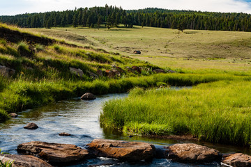 East Fork of the Black River 