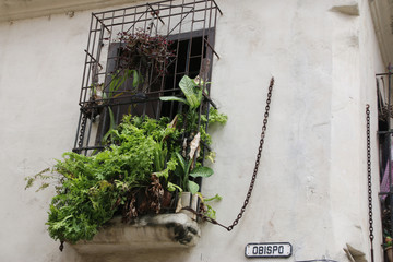 La Havane