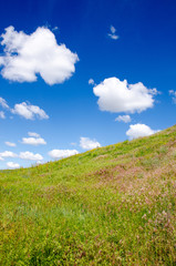 green field on a background clouds