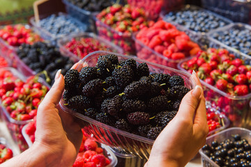 Buying berries in the local market. Close-up, hand touches mulberry. Various berries in the...